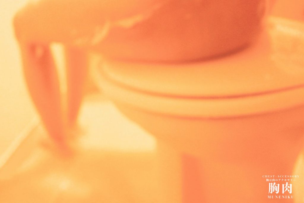 風呂イスがなくてもユニットバスならばトイレの上に乗せて洗うことができる（必然的にトイレを綺麗かつ清潔にする必要があり結果的にトイレも圧倒的に綺麗に保てる）撮影：muneniku.com